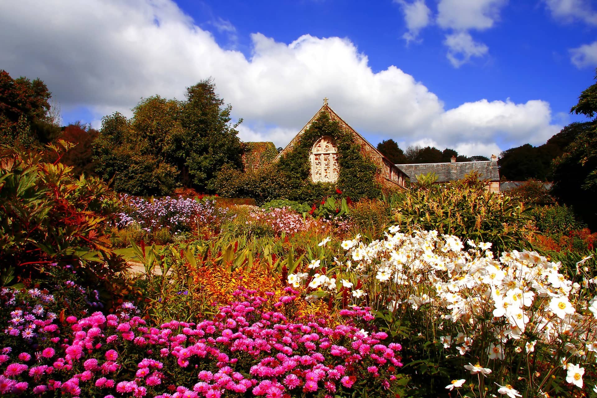 Romantisches Cornwall - königliche Gärten - Oliva ReisenOliva Reisen