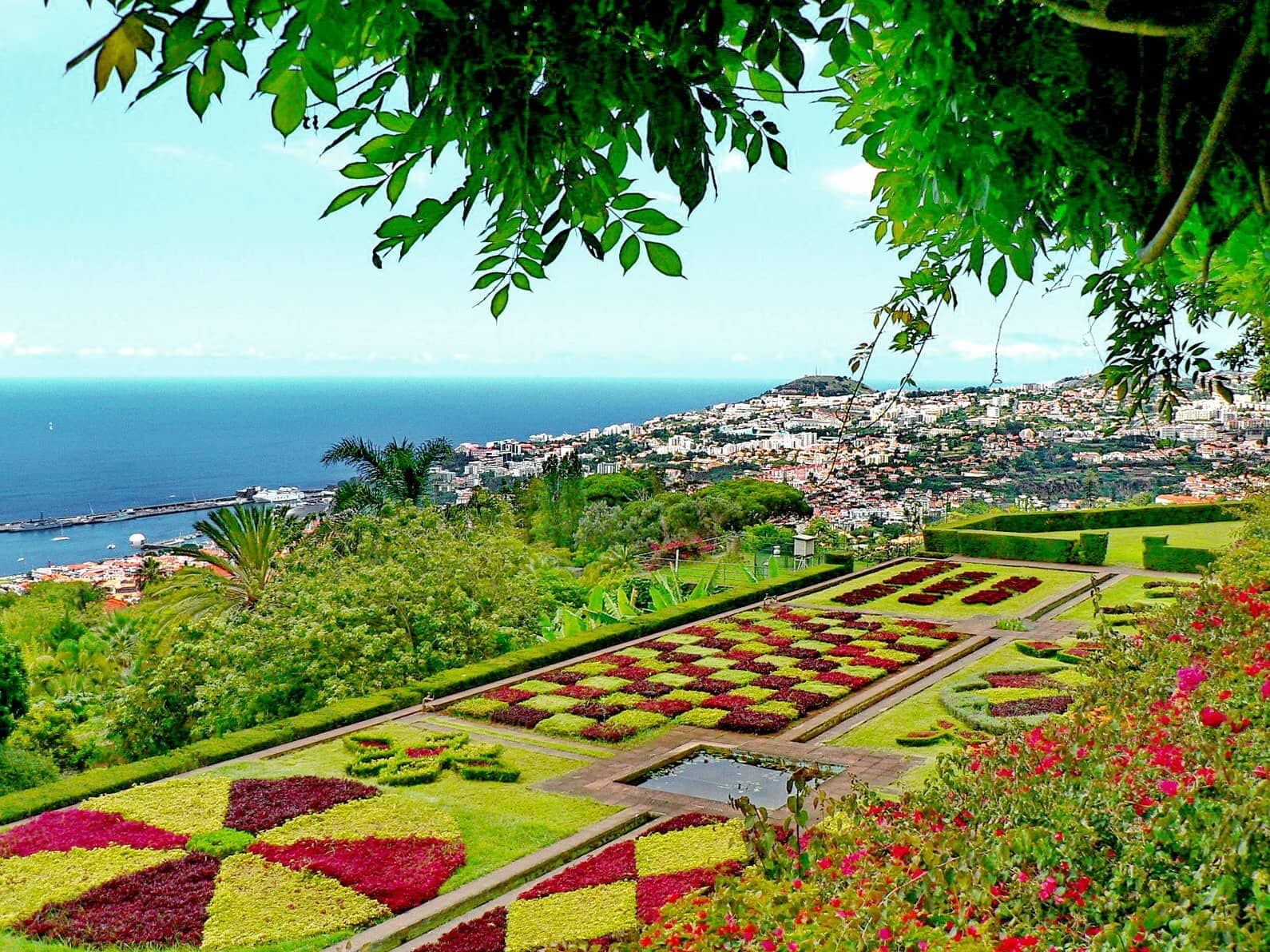 Madeira, Blumeninsel