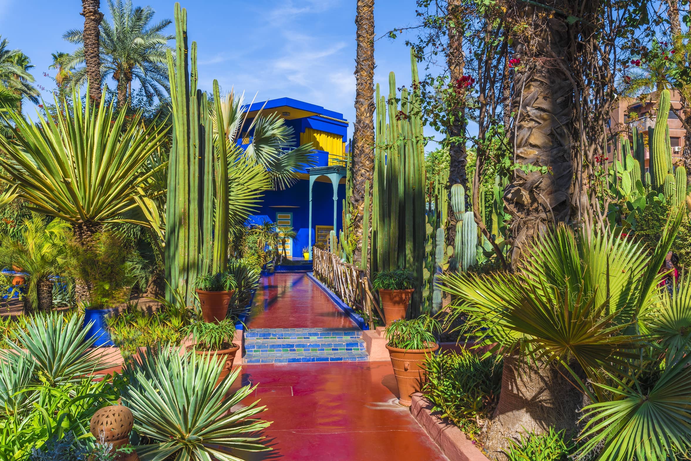 Le Jardin Majorelle, amazing tropical garden in Marrakech, Morocco.