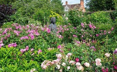 Englische Rosenreise, zur schönsten Rosenblütezeit