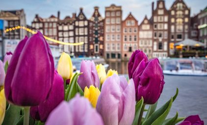 Holland zur Tulpenblüte