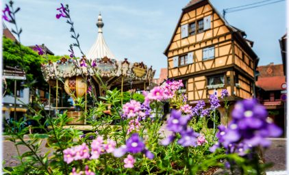 Gartenreise durchs Elsass
