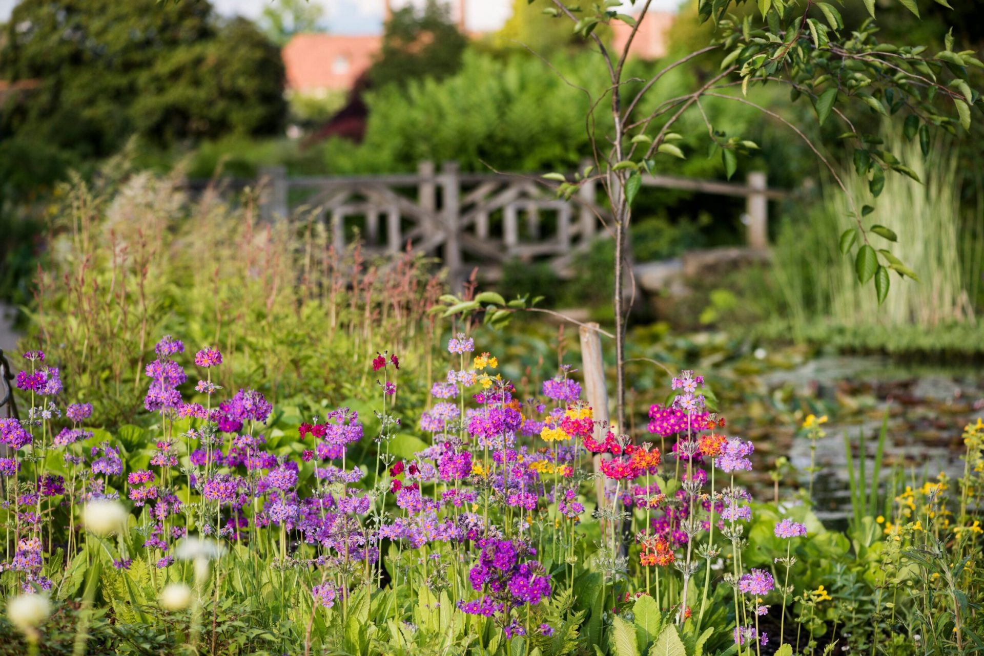 Grandiose Chelsea Flower Show Oliva ReisenOliva Reisen