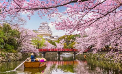 Japan in einem Traum aus Weiß und Rosa