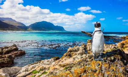Wunderweltenreise Südafrika